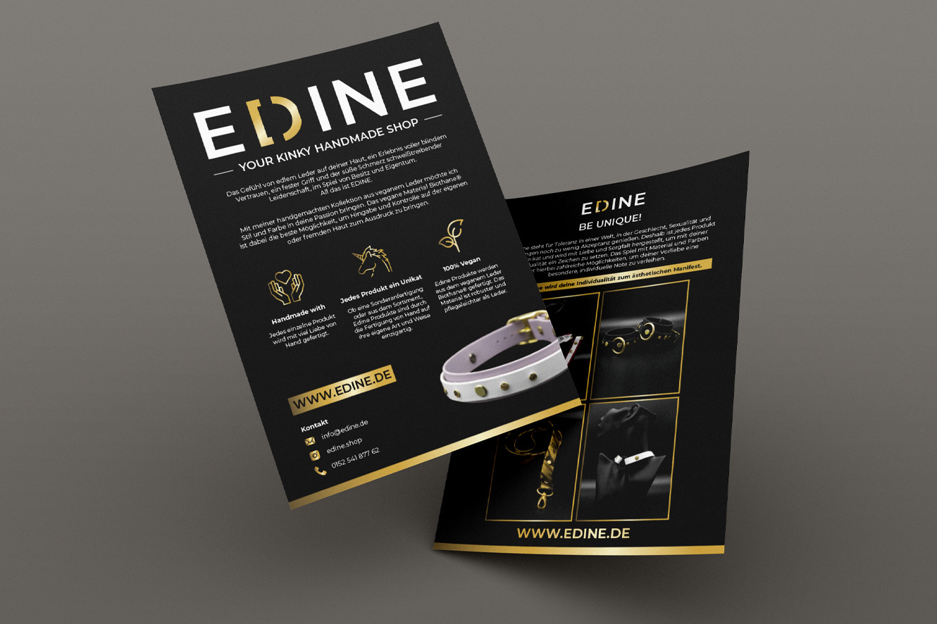 Satz & Layout - Printmedien - Handout Flyer für EDINE