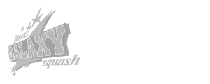 Referenz: Sportstudio GALAXY Halle Logo